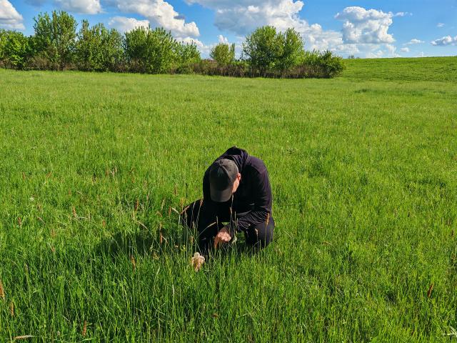 Húsvéti tojáskeresés a Csicsergőben