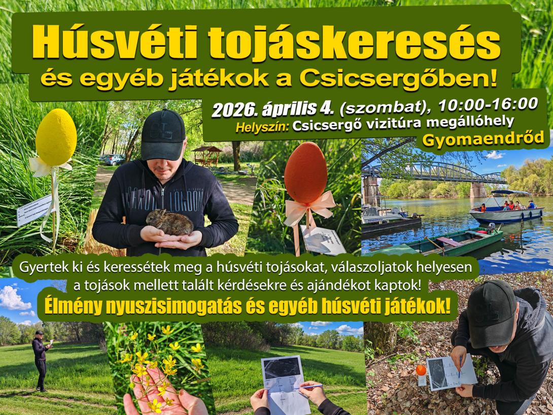 Húsvéti tojáskeresés a Csicsergőben
