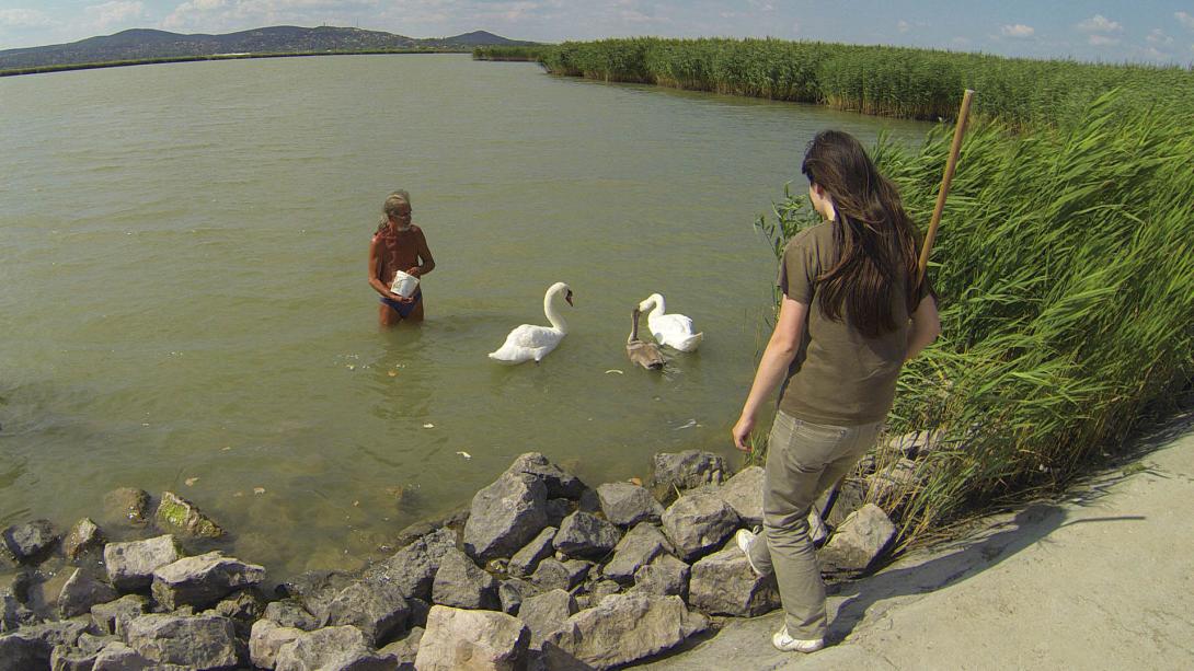 Velencei-Tó a „napfény tava”