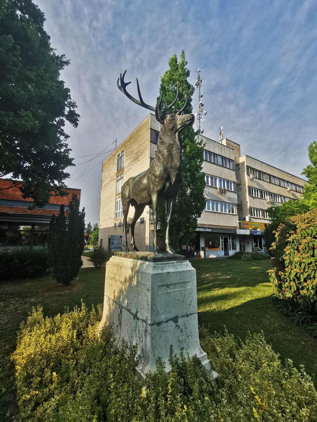 Szarvasi szarvas szobor, Szarvas