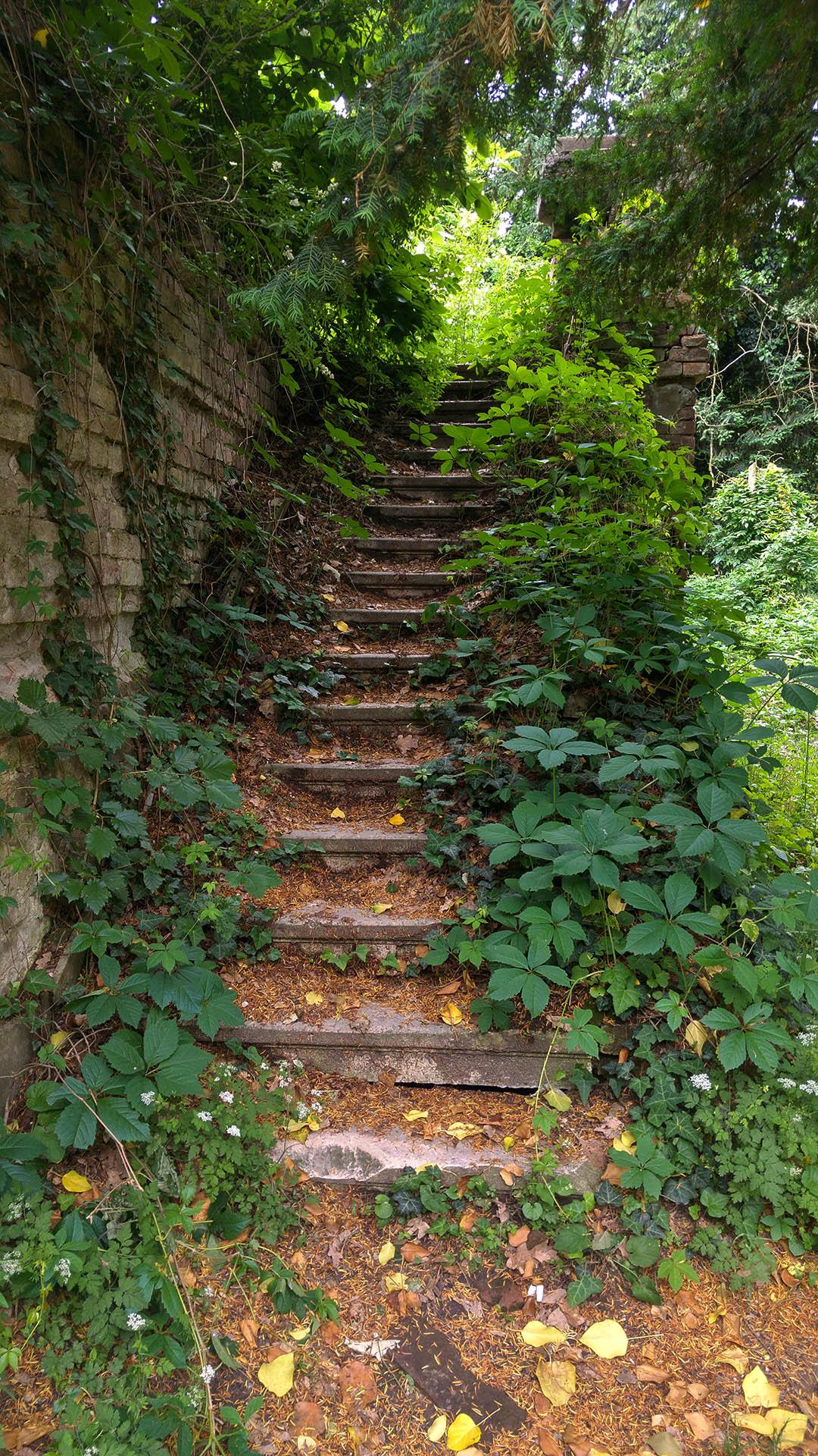 Wenckheim kastély lépcső a kert felőli homlokzaton, Póstelek