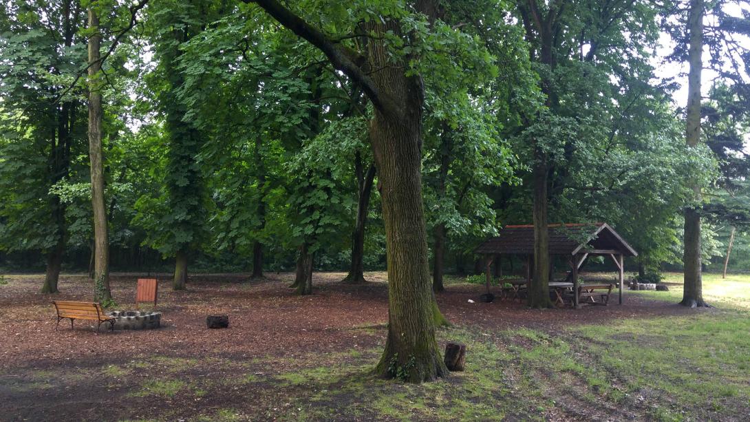 Pósteleki parkerdő (vörös levelű bükkfa, mocsári tölgy, hatalmas kocsányos tölgy), Póstelek