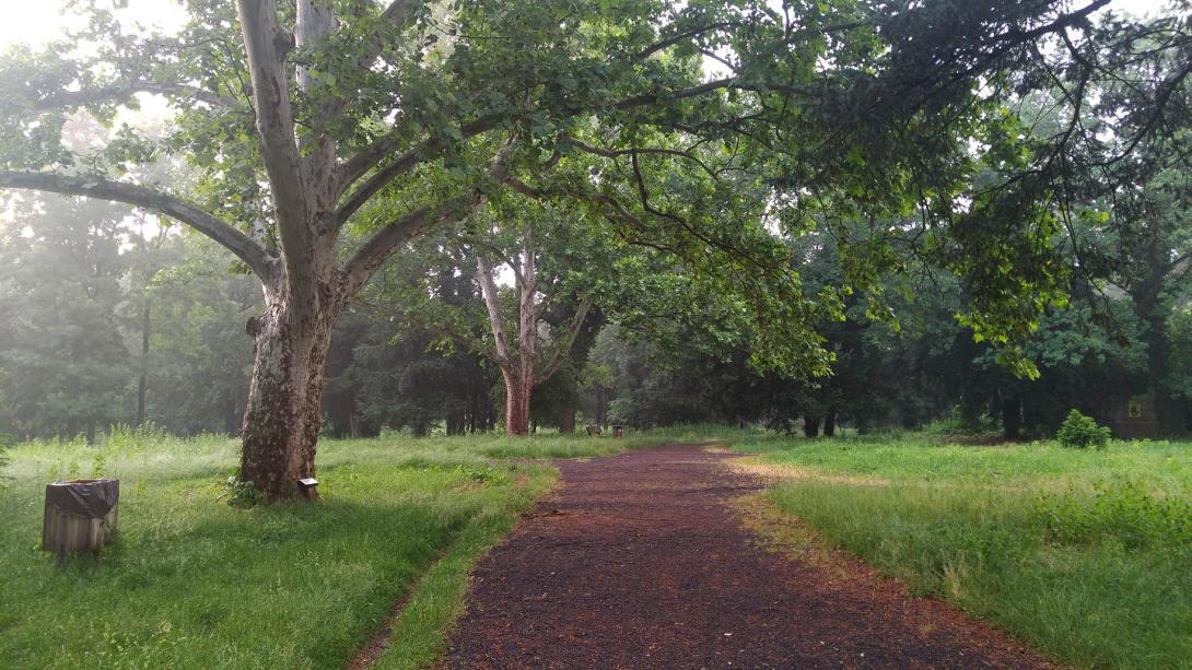 Wenckheim kastély park régi sétánya, Póstelek