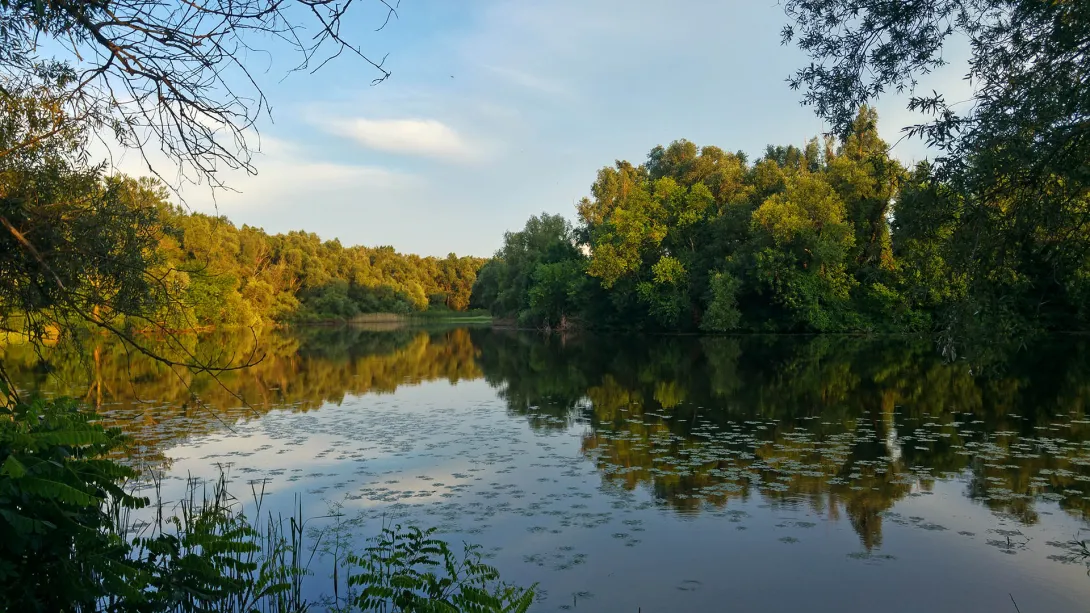Kocsorhegyi-Borbélyzugi-holtág