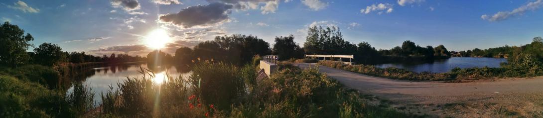 Késő esti napfürdőzés / Sunbath late in the evening