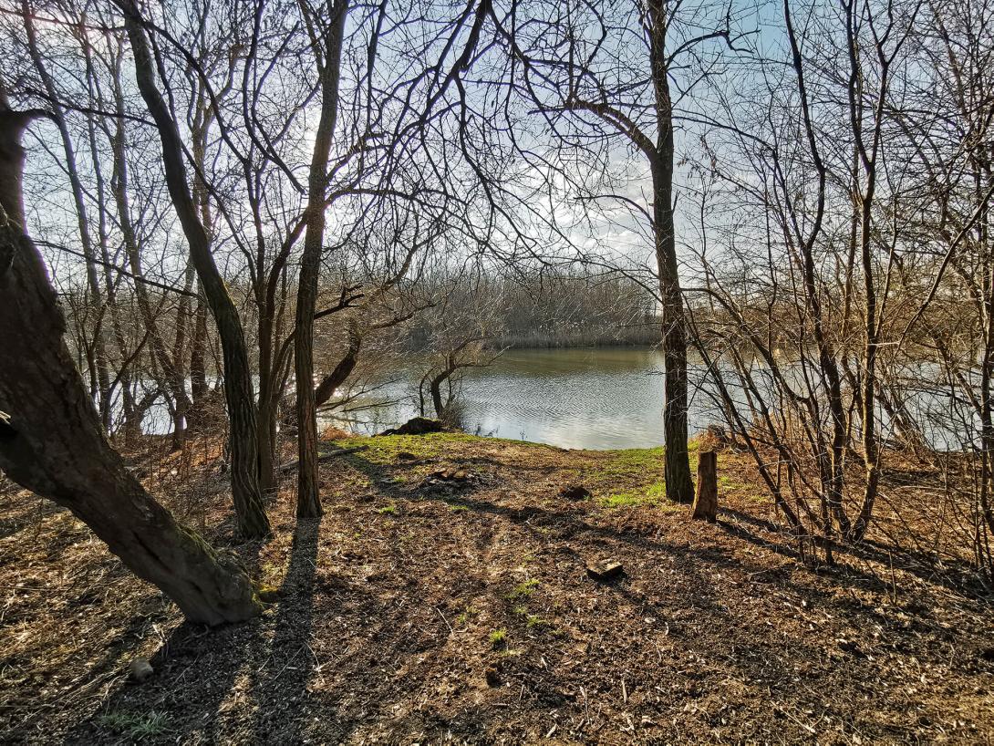 Német-zugi holtág és környéke