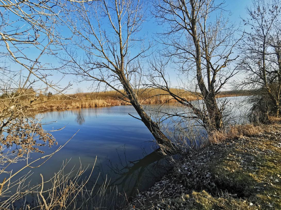 Német-zugi holtág és környéke