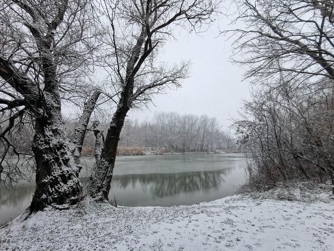 Németh-zugi holtág a hóesésben