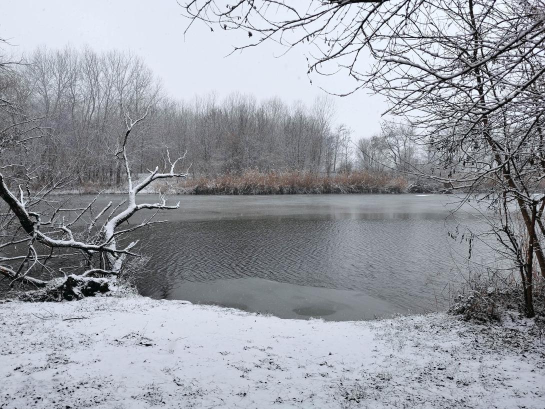 Németh-zugi holtág a hóesésben
