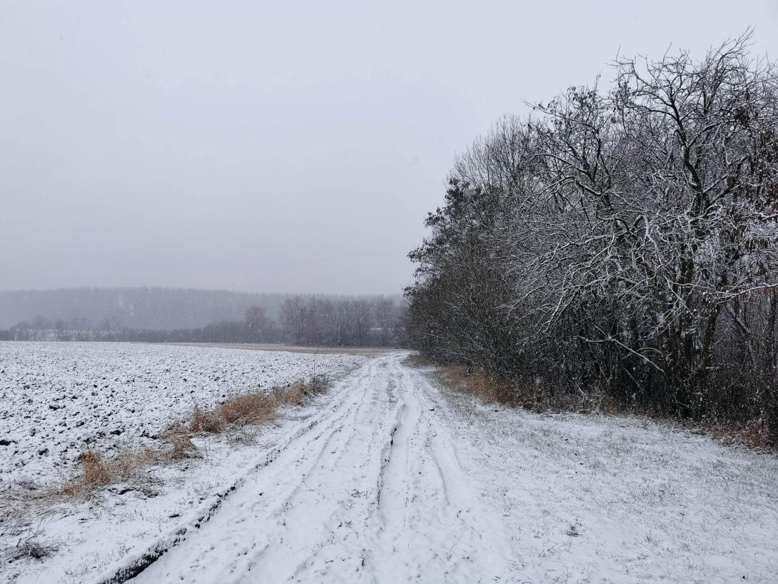 Németh-zugi holtág a hóesésben