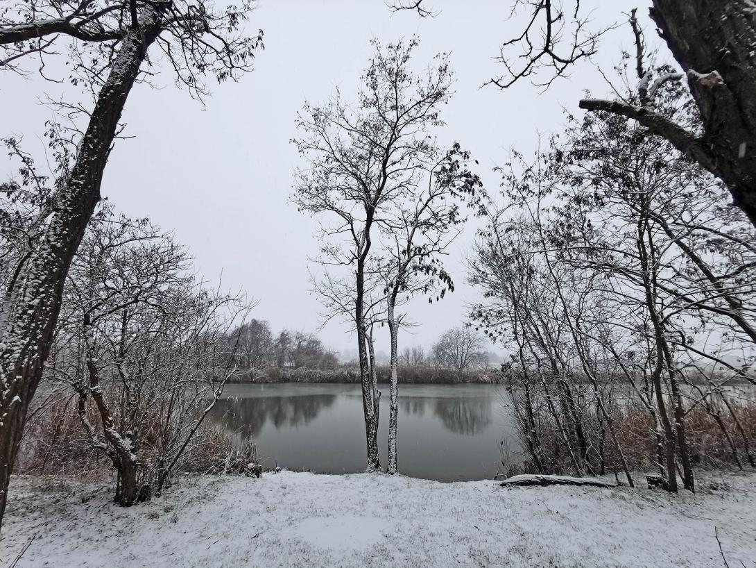 Németh-zugi holtág a hóesésben