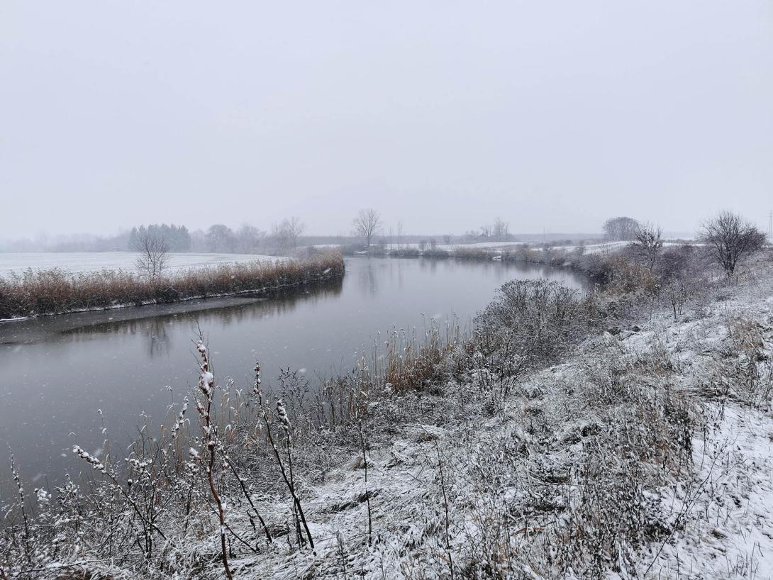 Németh-zugi holtág a hóesésben