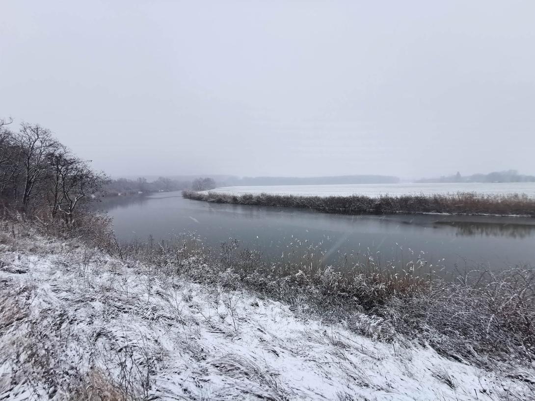 Németh-zugi holtág a hóesésben