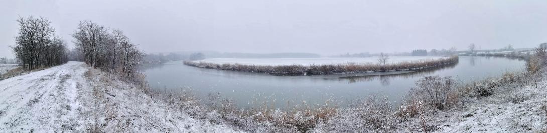 Németh-zugi holtág a hóesésben