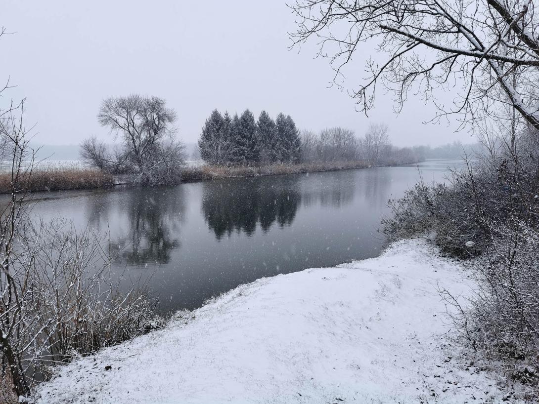 Németh-zugi holtág a hóesésben