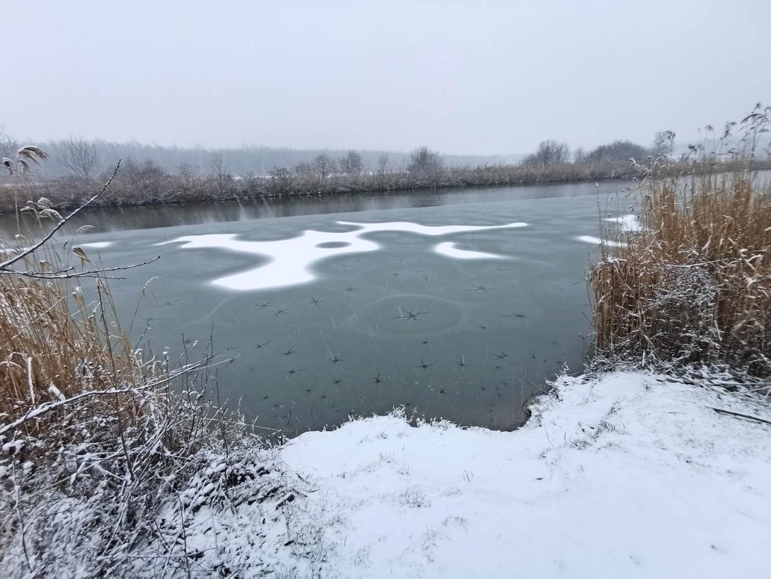 Németh-zugi holtág a hóesésben