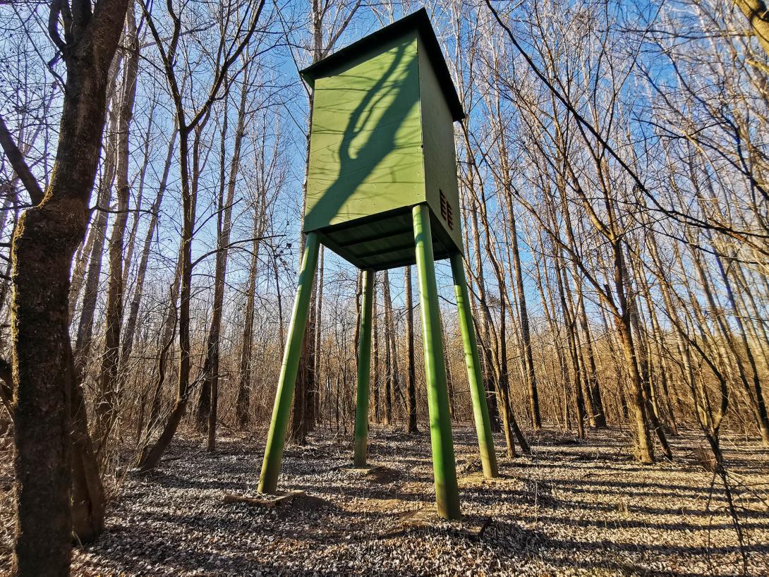 Denevérodú a Hármas-Körös árterében