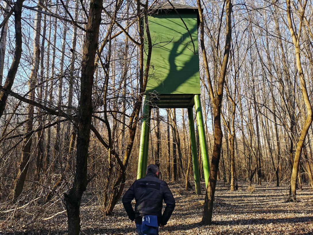 Denevérodú a Hármas-Körös árterében