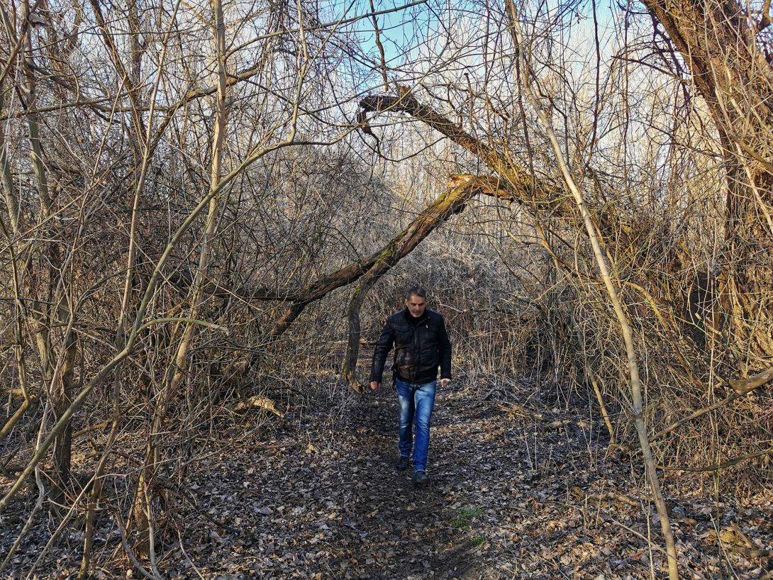 Hármas-Körös ártere