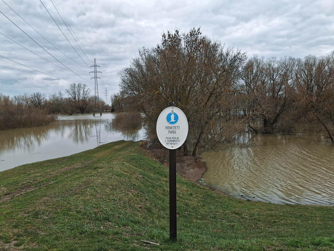 Árvízi tájkép a Hármas Körös partján, Gyomaendrőd