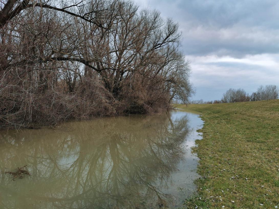 Árvízi tájkép a Hármas Körös partján, Gyomaendrőd