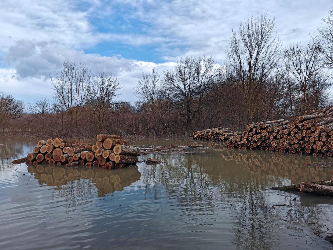 Árvízi tájkép a Hármas Körös partján, Csicsergő vizitúra megállóhely és horgásztanya