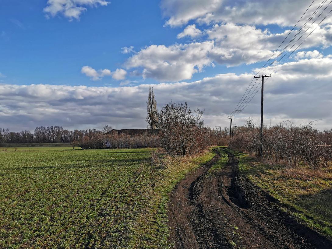 Kocsorhegyi tanyavilág