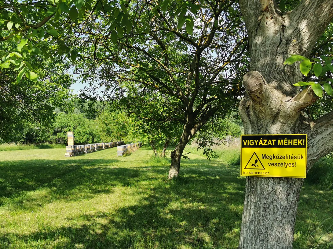Pocos kert, Gyomaendrőd