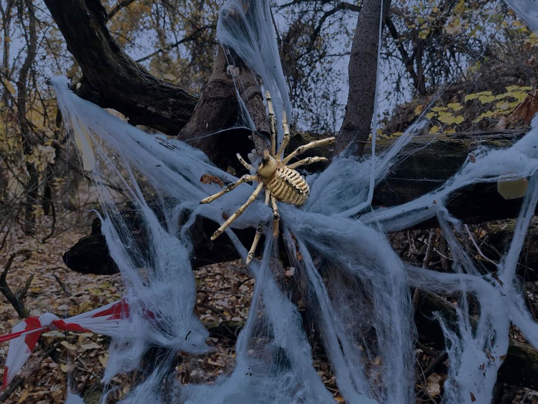 A sikolyba vezető híd, Elátkozott mocsár (A Körösi vad Morc lakóhelye), Elátkozott erdő