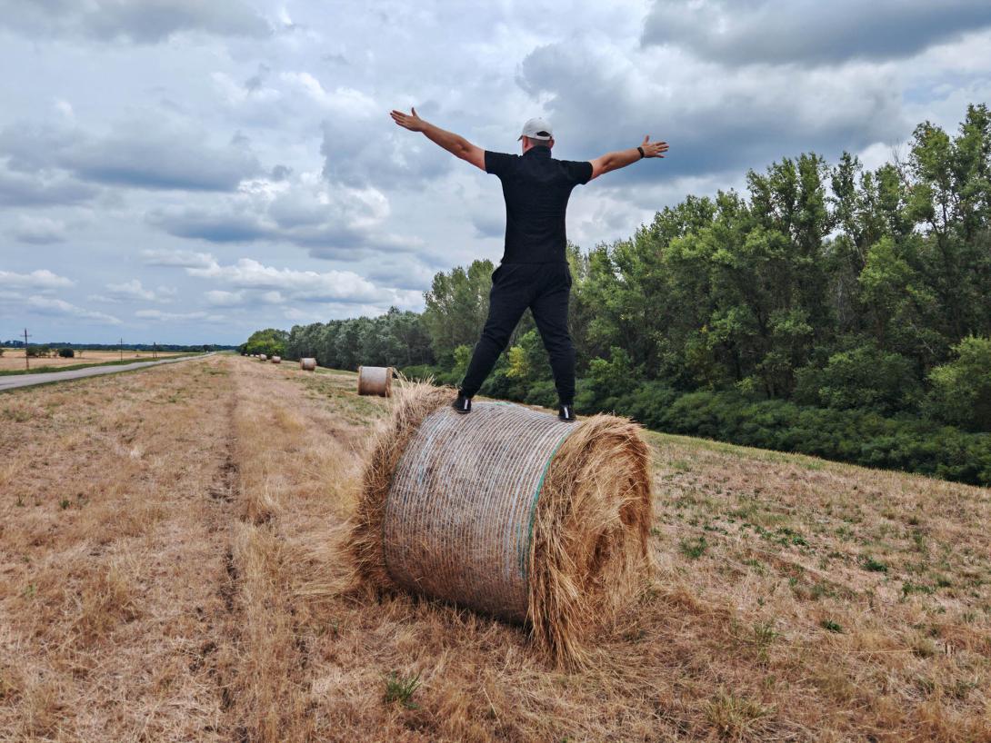 A puszta vándora kukorékol a henger alakú szénabála tetején