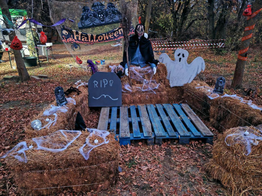 A lidércek suttogása, mintha valamit akarnának tőled, Elátkozott erdő