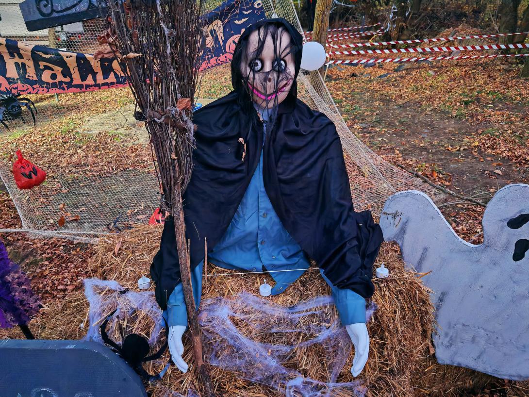 A lidércek suttogása, mintha valamit akarnának tőled, Elátkozott erdő