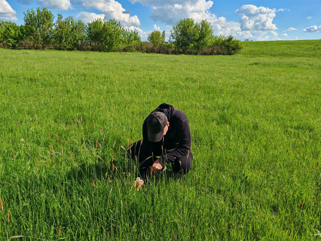 Húsvéti tojáskeresés a Csicsergőben