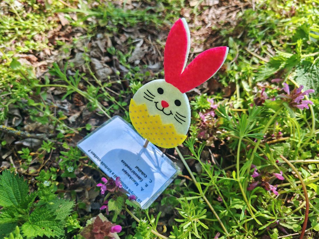 Húsvéti tojáskeresés a Csicsergőben