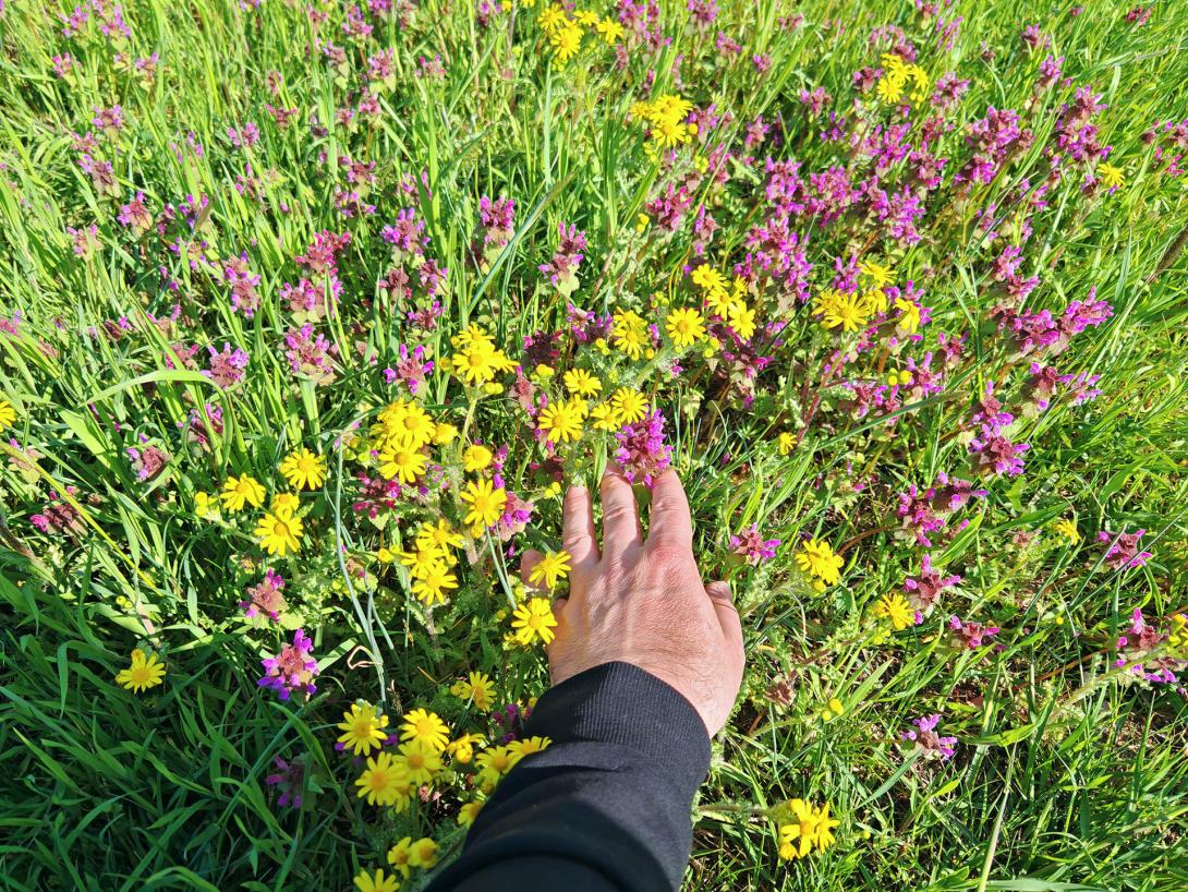 Húsvéti tojáskeresés a Csicsergőben